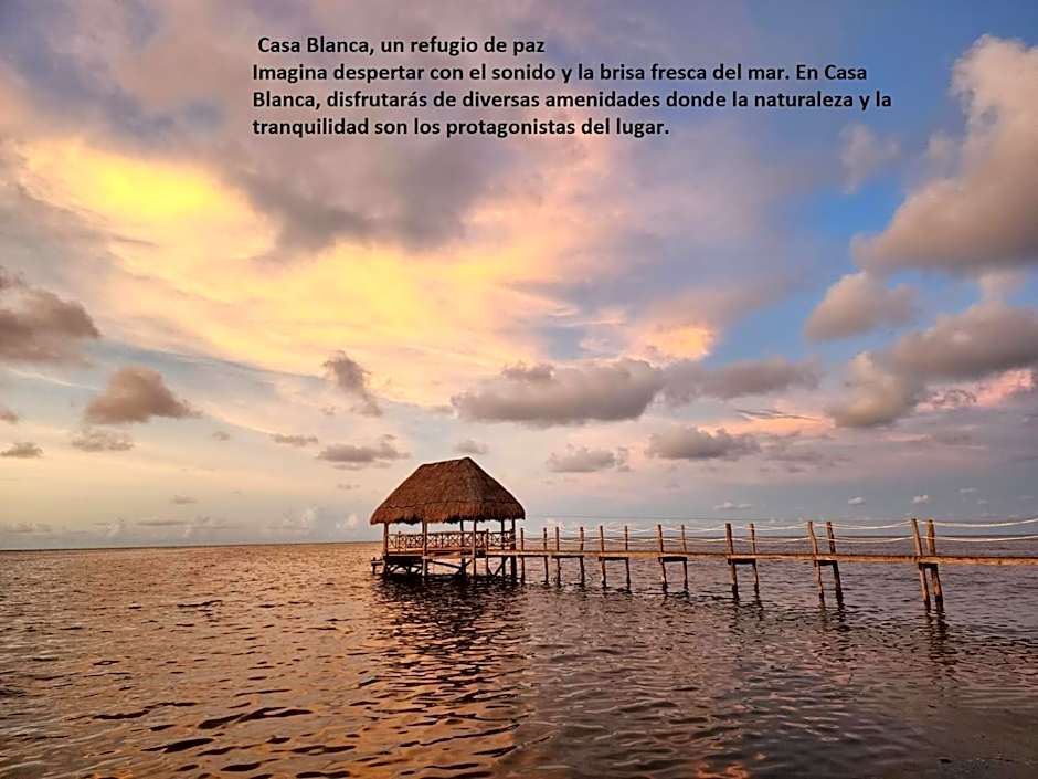 Experiencia Casa Blanca