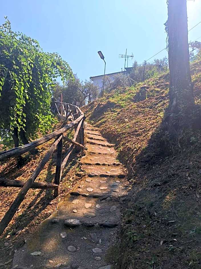 SunRiseStudiosPapanero