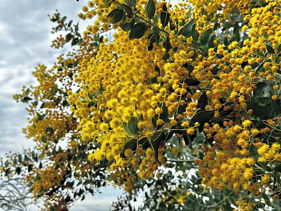 Hotel Boutique Ideal