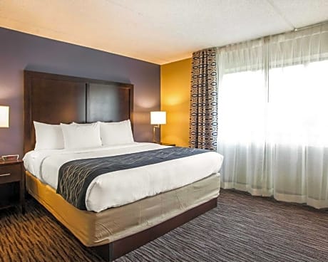 Deluxe Queen Room - Non Smoking