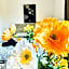 Budget Friendly Private Rooms with Garden