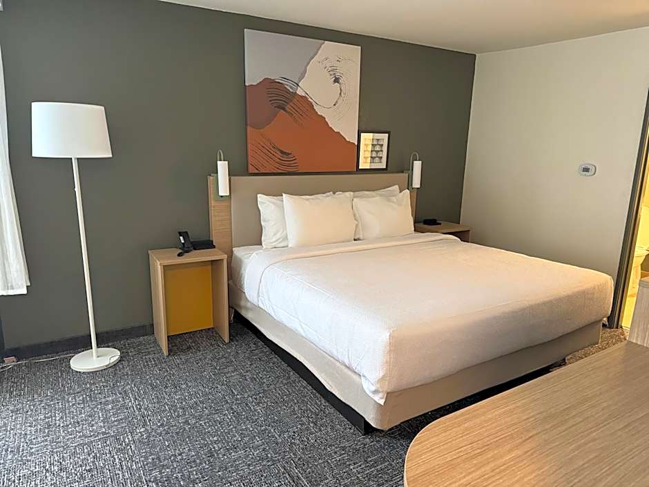 Spark by Hilton Jackson Ridgeland