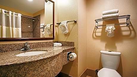 1 King Bed Mobility Accessible Bathtub Non-Smoking Full Breakfast