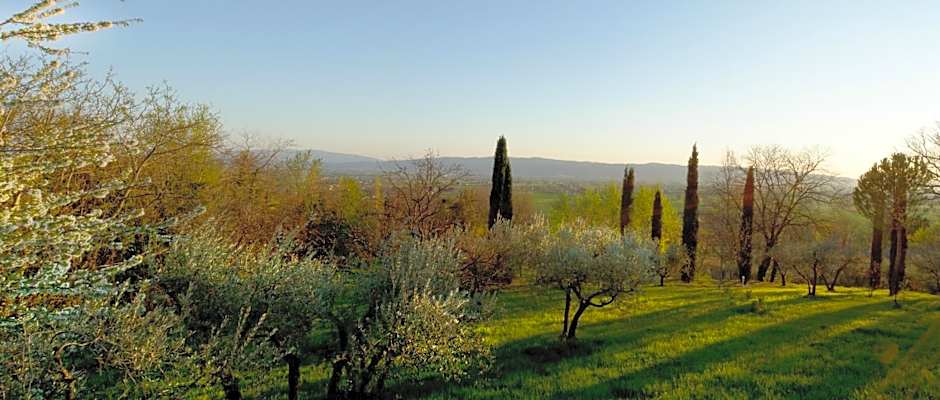 Villa Degli Ulivi