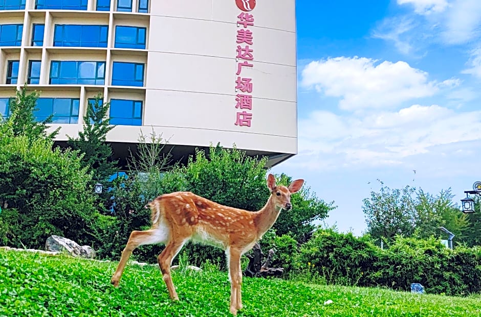 Ramada Plaza by Wyndham Taian