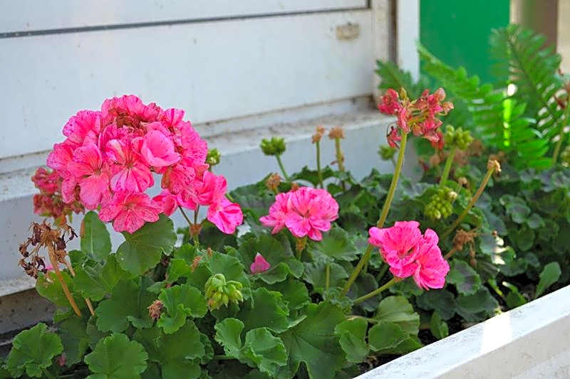 Hotel Hohenstein -Radweg-Messe-Baldeneysee