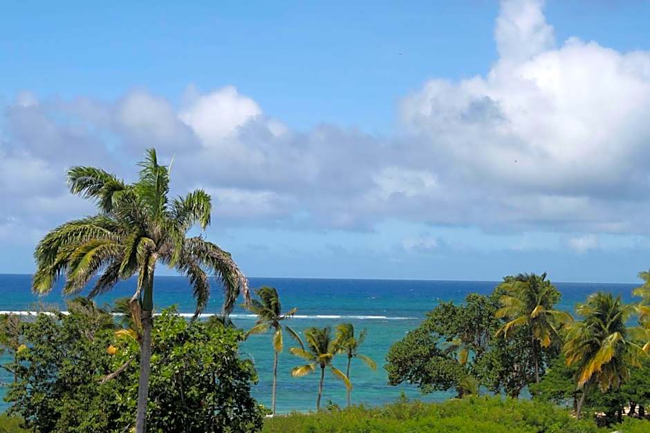 Résidence Tropicale