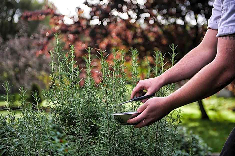 The Beeley Inn - Chatsworth