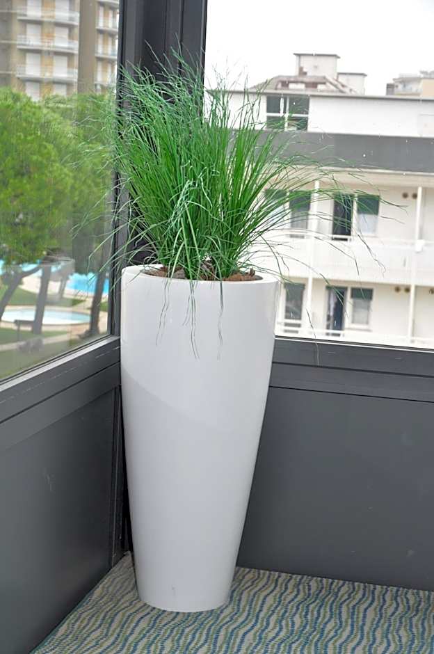 Hotel Garden