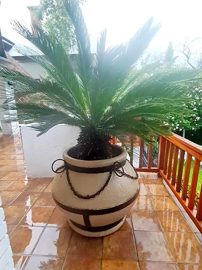 147@ Simon Bekker Kosmos