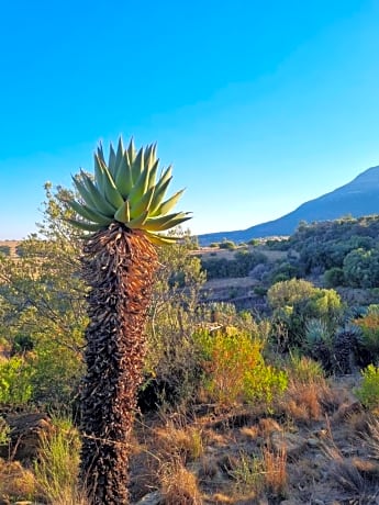 Saffier river cottage Farmstay