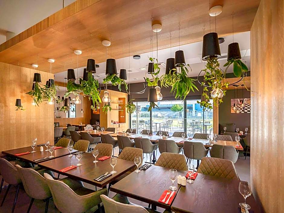 Ibis Plzen