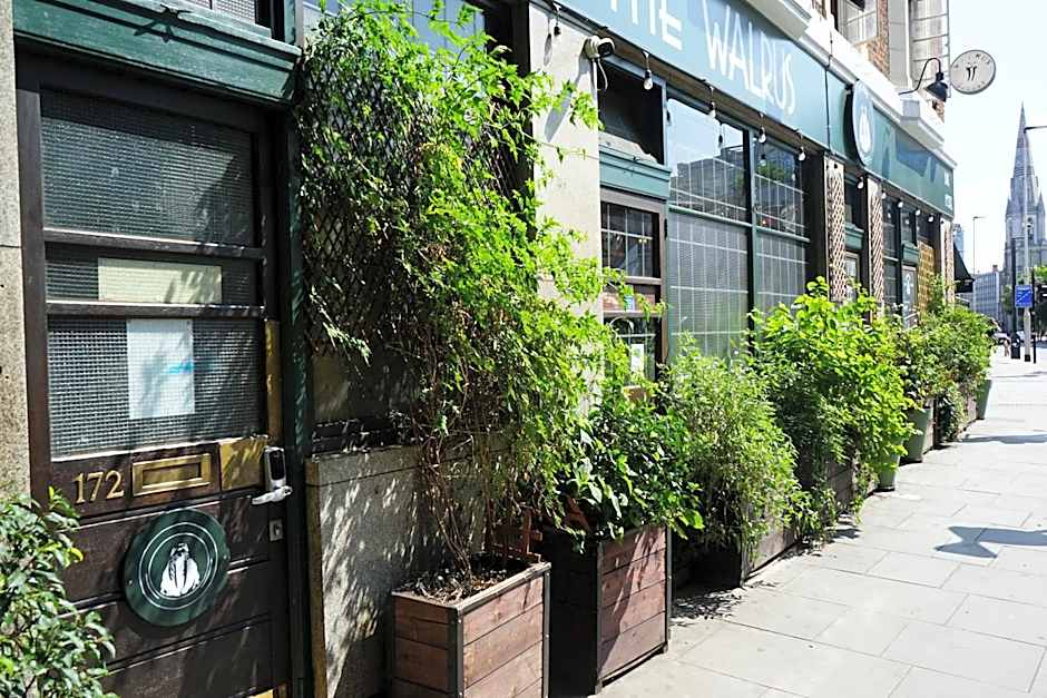 The Walrus Bar and Hostel