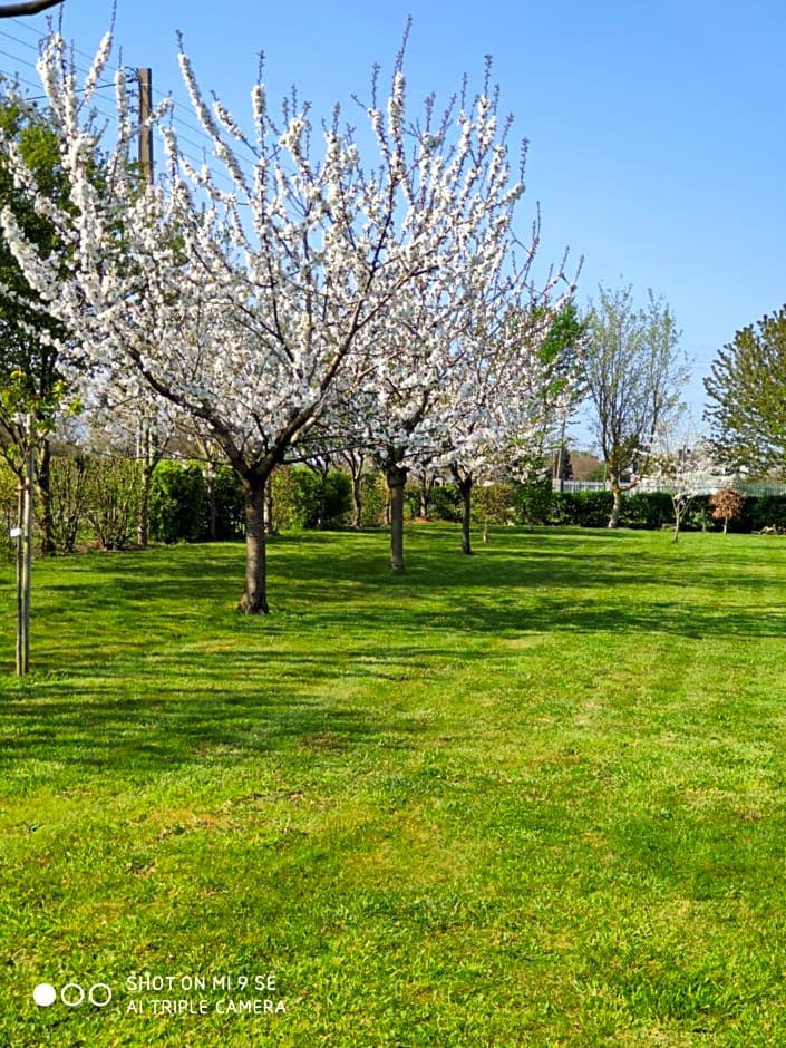 Les Chambres des Badious