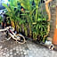 Villa Sahabat