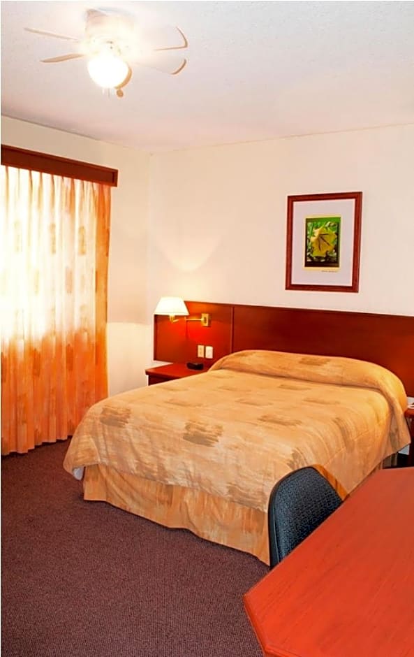 Hotel Marcella Clase Ejecutiva