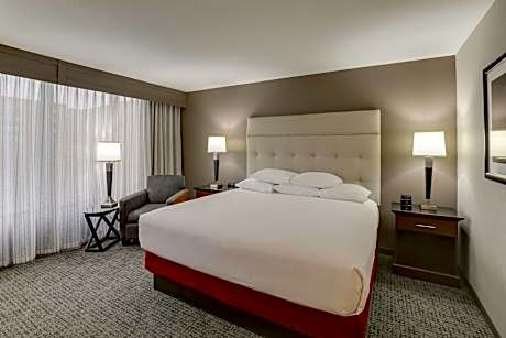 Superior King Room with Sofa Bed