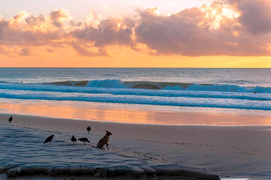 Beach House NATUREZA
