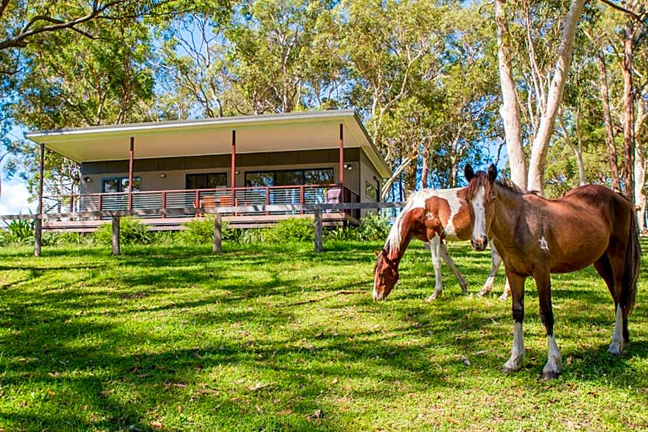 Glenworth Valley Wilderness Adventures