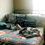 Peekskill Guesthouse