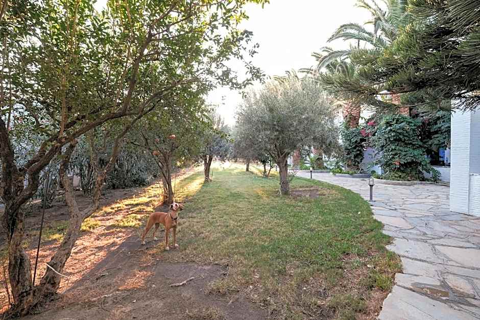 Golden Beach Studios & Suites