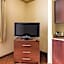 Comfort Suites Near Nasa - Clear Lake