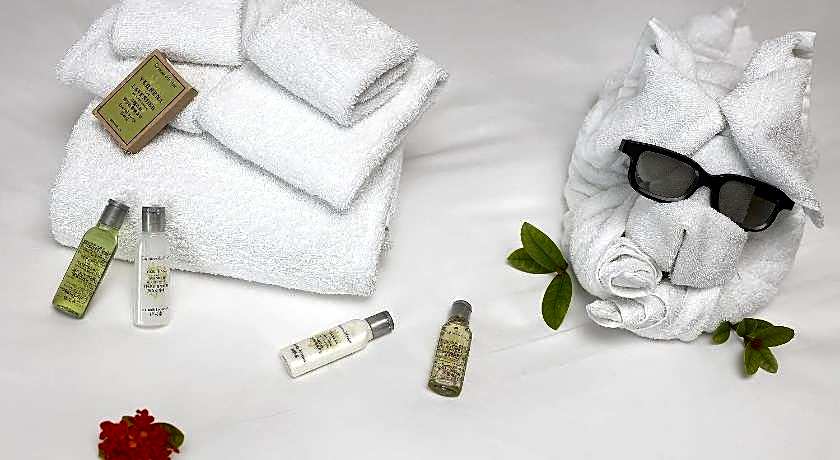 Hilton Garden Inn Zhongshan Guzhen