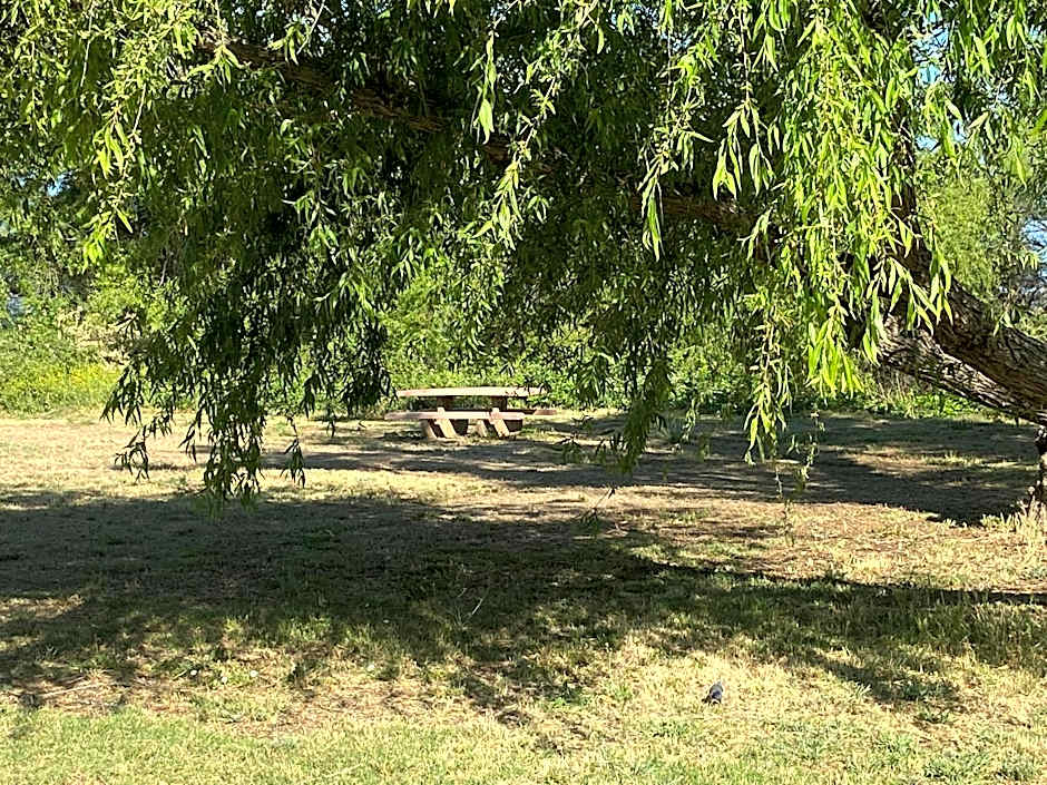 Clearlake Cabins