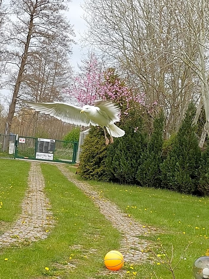 Domki Słoneczny Brzeg