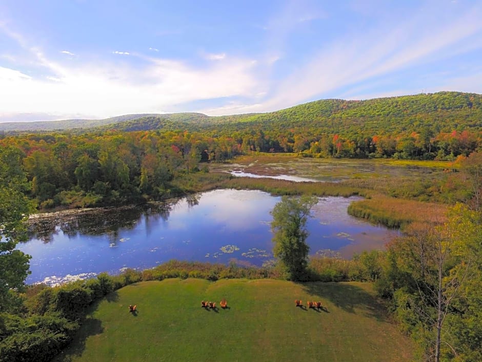 Hampton Inn By Hilton & Suites Berkshires-Lenox