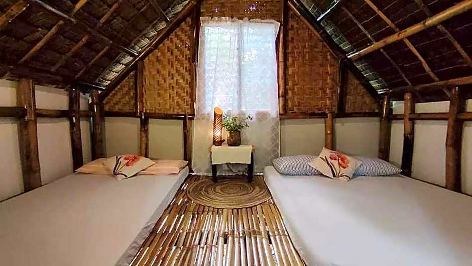 Lazy Lizard Hostel