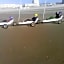 L Imperatrice