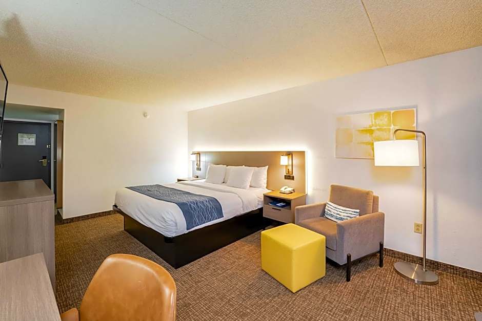 Comfort Inn Las Vegas New Mexico
