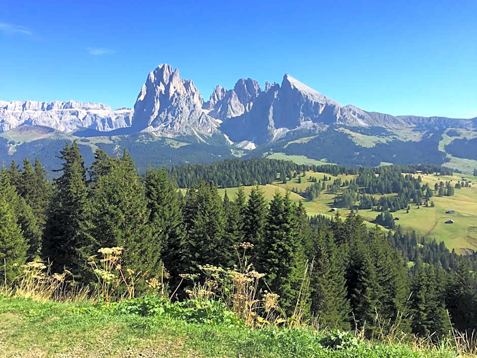 Apartment Hotel Elvis