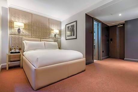 Superior Room (1 Double Bed)
