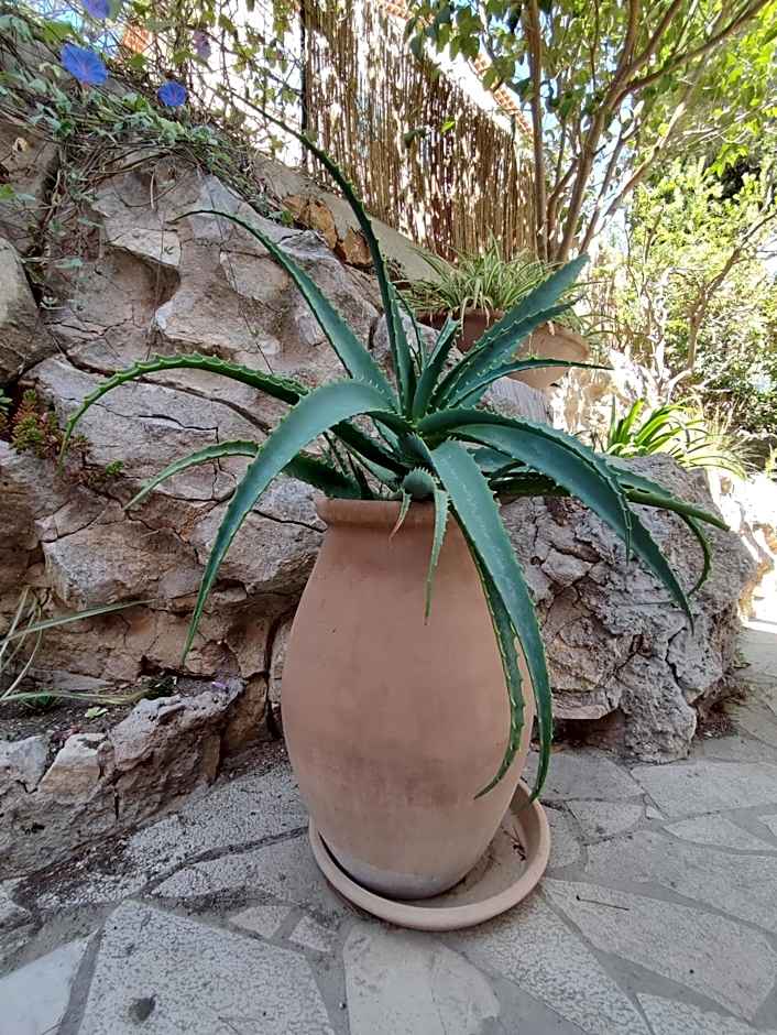 Les Galets Hôtel et B&B