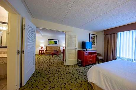1 King Accessible 1 Bedroom Roll In Shower