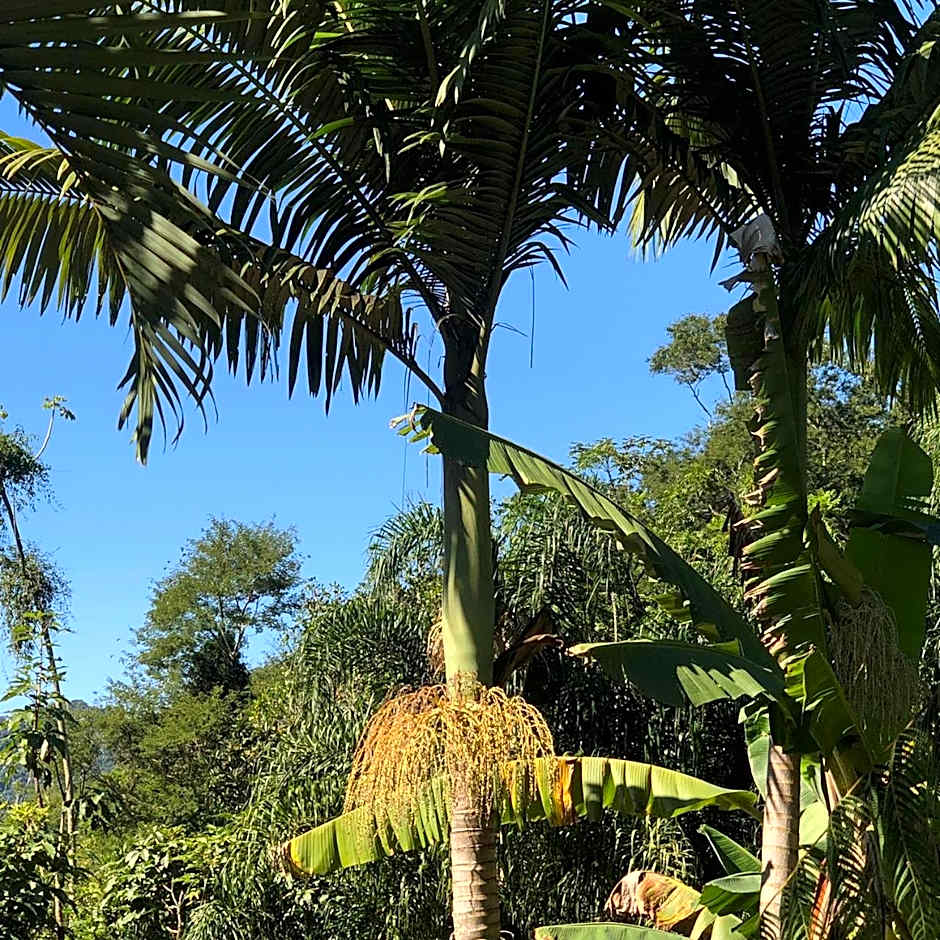 Pousada Beija Flor-Lumiar - Piscinas e Café