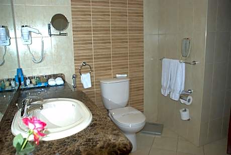 Deluxe Room (1 King Bed)