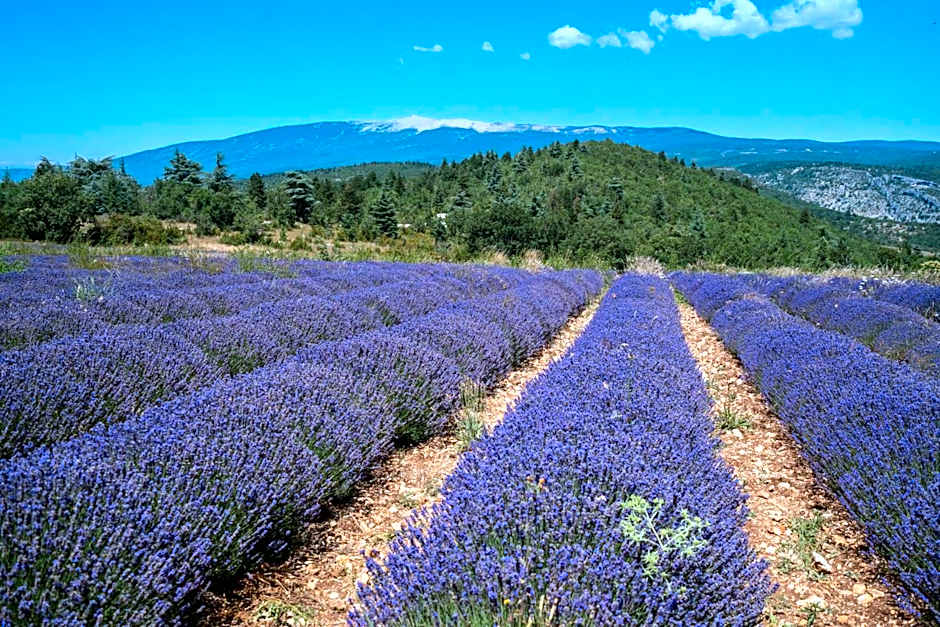 Les Terrasses de Cascavelle