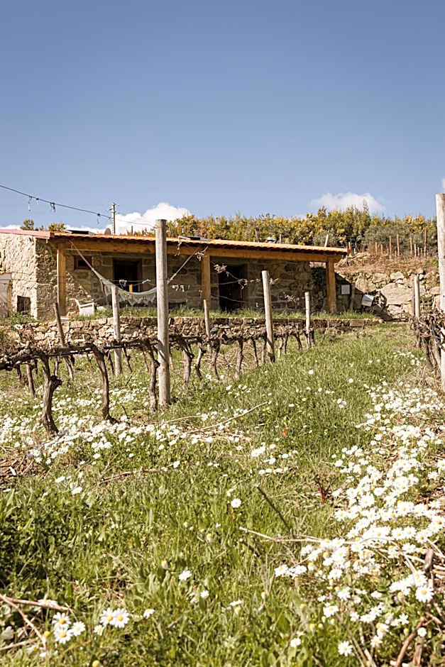 Quinta da Portela - Casa Visconde Arneiros - by RowdHouses