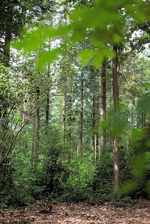 Buitenplaats Petersburg