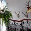 Palacio Doñana , Rural & Luxury
