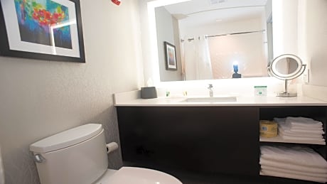 1 King 1 Bedroom Suite Mobile Access Tub