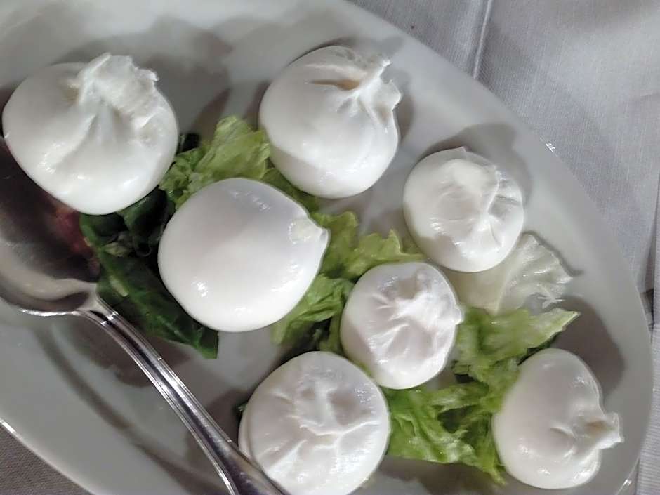 Agriturismo Masseria Alberotanza