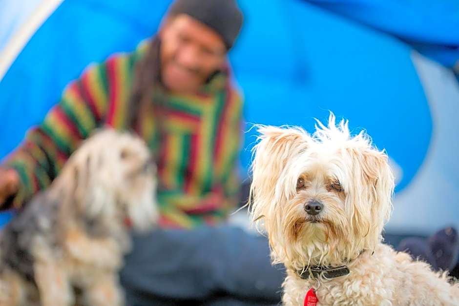 Tasman Holiday Parks - Beachaven