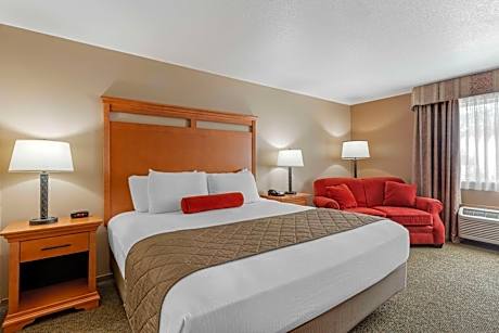 King Room with Roll-In Shower - Disability Access