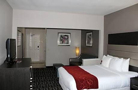 King Suite - Accessible/Non-Smoking