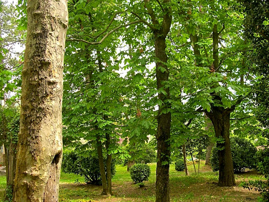 Domaine du Paraïs B&B