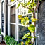 B&B Gracht 62